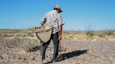 Nayarit, el apoyo a los campesinos y la COCYP