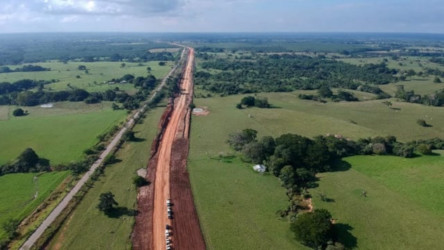 La construcci&oacute;n de caminos afecta siempre a la ecolog&iacute;a