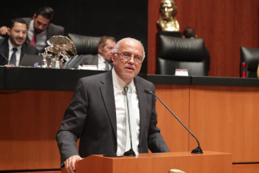 El Dr. Navarro no regresar&aacute; al Senado