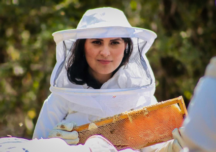 Protege Congreso la vida de las abejas