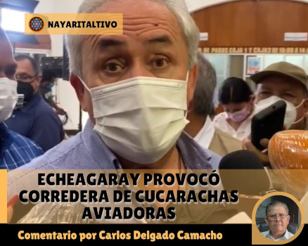 Echeagaray provoc&oacute; corredera de cucarachas aviadoras