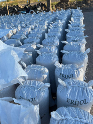 Exhorto para comprar frijol a productores nayaritas