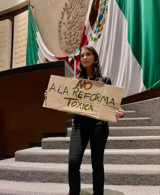 El riesgo que representan para M&eacute;xico los legisladores plurinominales