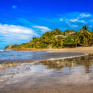 Semana Santa, Vallarta, ligue, Canad&aacute;, tibur&oacute;n, Guayabitos &amp; &Aacute;lvaro Carrillo  