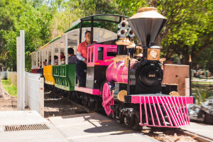 Este D&iacute;a del Ni&ntilde;o, de nuevo funciona trenecito en La Loma
