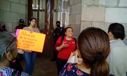 Cr&oacute;nica de una sesi&oacute;n de cabildo accidentada