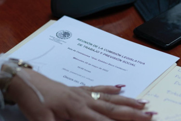 Alianza sindical contra Ley Burocr&aacute;tica