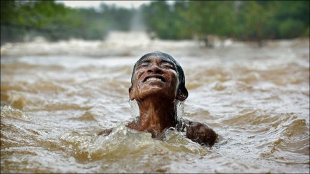 La especie m&aacute;s depredadora del planeta que habitamos, es la raza humana
