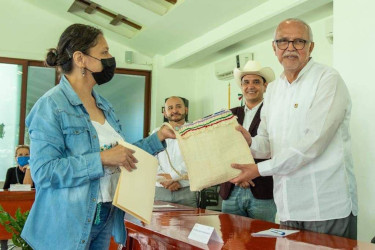 Gobernador Navarro debe proteger m&aacute;s a los artesanos ind&iacute;genas