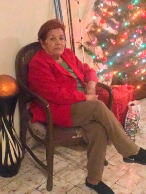 Se nos fue do&ntilde;a In&eacute;s del alma m&iacute;a