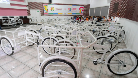 Entrega DIF Nayarit herramientas de trabajo a personas vulnerables