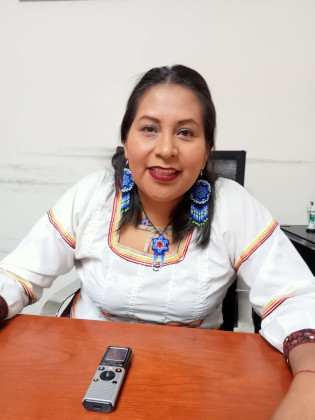 Por bien de los pueblos originarios, como legisladora har&eacute; historia